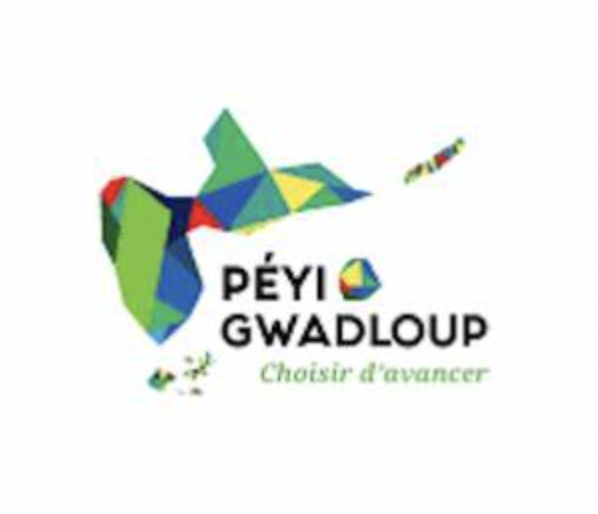 Guadeloupe. Le groupe Péyi Gwadloup condamne les débordements dans l’enceinte du CHU